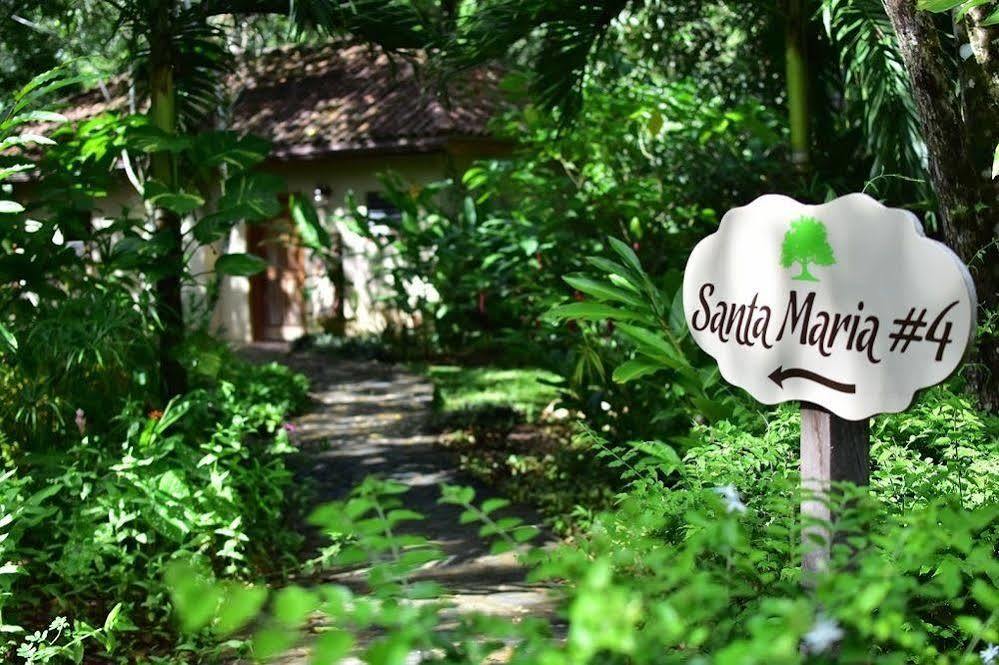 Mystic River Resort San Ignacio Buitenkant foto